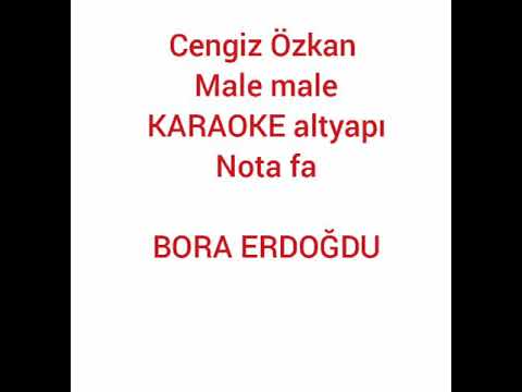 Cengiz Özkan male male karaoke deneme altyapı nota fa