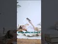 I Created an AI That Summarizes Books in 60 Seconds #Shorts