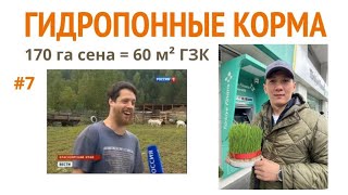 60 м² гидропонных кормов заменяет = 170 га сена! Прямой эфир с Джастасом Уолкером - 02.04.2024