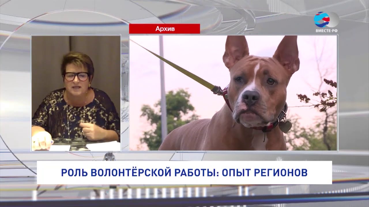 Любовь Глебова. Волонтерские организации - YouTube