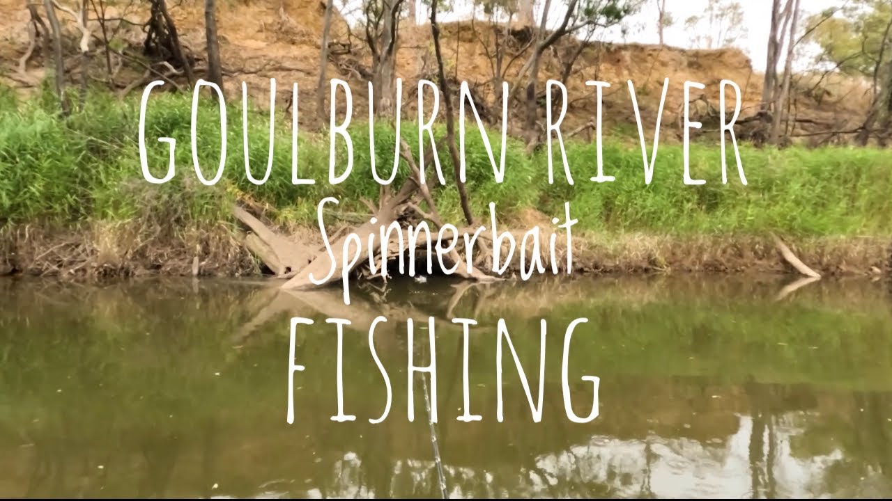 Goulburn River Spinnerbait Fishing for Murray Cod YouTube
