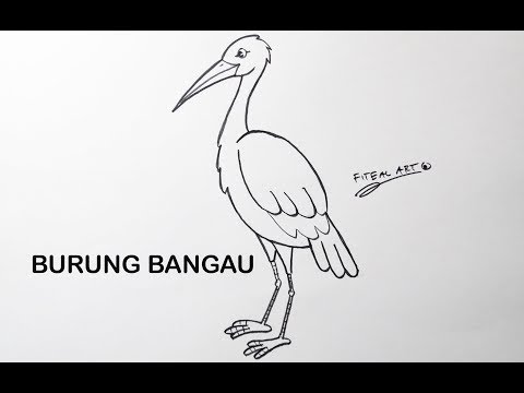 Video: Cara Menggambar Bangau Dengan Pensil