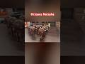 Octopus Natasha can dance! #humour #funny #natasha #octopus