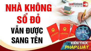 4 Trường Hợp Không Có Sổ Đỏ Vẫn Được Sang Tên | LuatVietnam