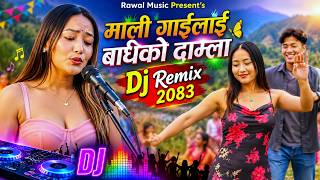 Download lagu #djremix माली गाईलाई बाँधेको दाम्ला 💃 DJ Remix 2083 | Nepali Lok Dohori Remix
