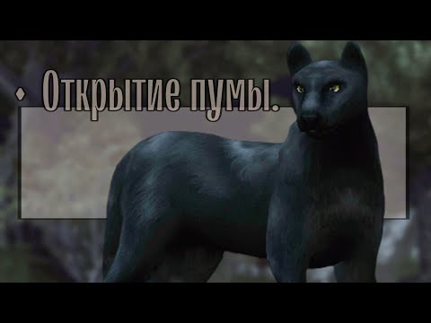 Wolf Tales ▶ открытие дикой кошки || прохождение глав ||