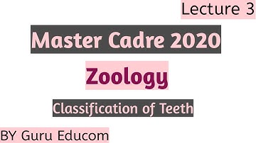 Master Cadre 2020 Preparation Of Zoology l  Lecture 3 Classification Of Teeth