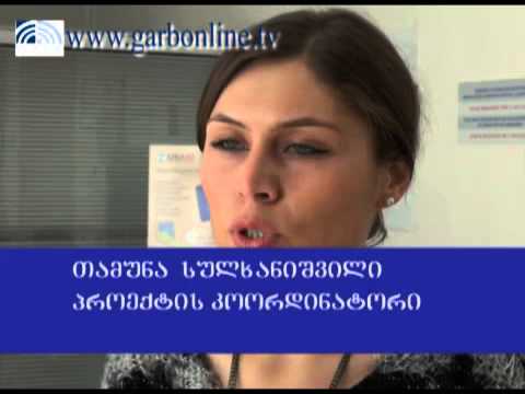 პრეზენტაცია მარნეულში “ვიშეგრადის ქვეყნების გამოცდილება”