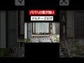 誰よりもパパが大好き！嫁さんの実家なのに。娘に対し嫉妬するマルチーズのコロチャン！面白いエンタメ動画【オガピー家のリアルな日常生活】#shorts #かわいい #ペット #犬 #柴犬 #マルチーズ