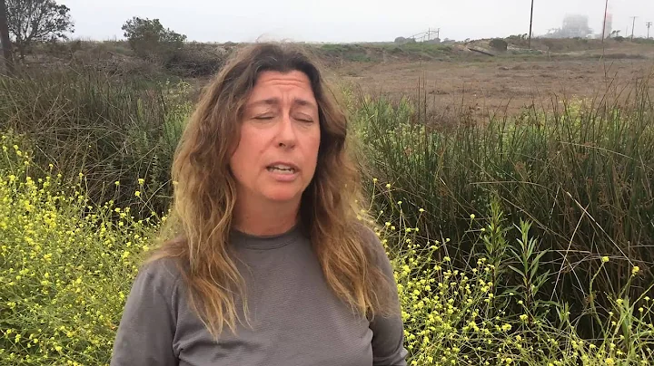 Ormond Beach Update: Cynthia Hartley