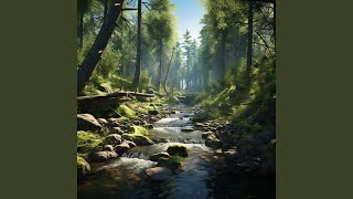 Focused Study with River's Sound