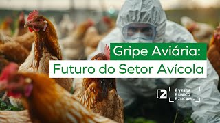 🐔🦠 Impacto da Gripe Aviária: um olhar sobre o futuro do setor avícola. 🦠🐔