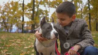 Pitbull vs German Shepherd: The Ultimate Canine Showdown