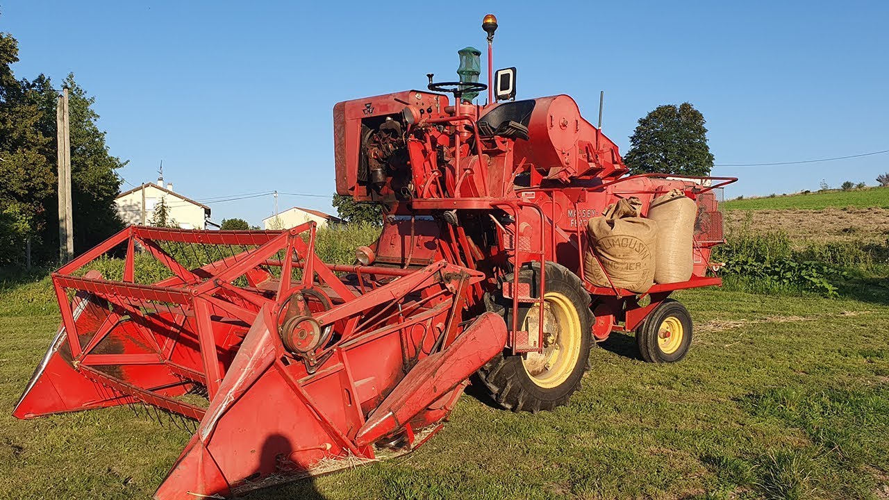 🇫🇷MOISSON 2019 à l'ancienne ! / MASSEY FERGUSON 31