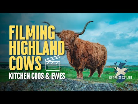 Kitchen Coos & Ewes Tour