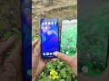 #samsung A50 VS #vivo Y58 5G Camera Review 📷 #smartphone #ytshorts #youtubeshorts #viralshorts