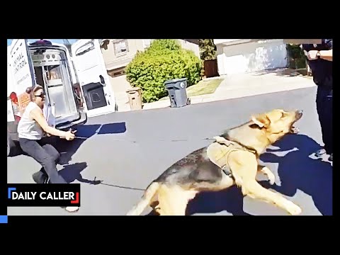 Video: „Pet Scoop“: liūdna virusinė nuotrauka padeda šuniui priimti priėmimą, „Cop Escorts Choking Dog“į veterinarą
