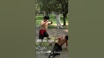 BaguaZhang Beng Xi techniques// 八卦掌蹦膝方法 #baguazhang #kungfu