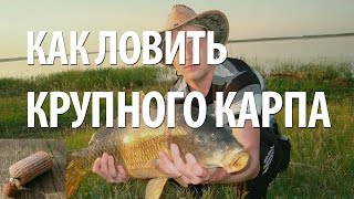 КАРПФИШИНГ - РЫБАЛКА на КАРПА. ПВА СЕТКА для РЫБАЛКИ, КАРПОВЫЙ МОНТАЖ(Современная рыбалка на крупного карпа - карпфишинг. Узнайте из видео, как изготовить карповый монтаж, испол..., 2016-08-14T16:27:44.000Z)