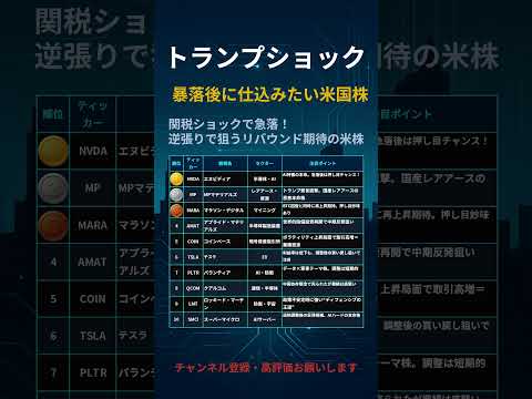 【トランプショック】暴落後に仕込みたい米国株TOP10（2025年版）