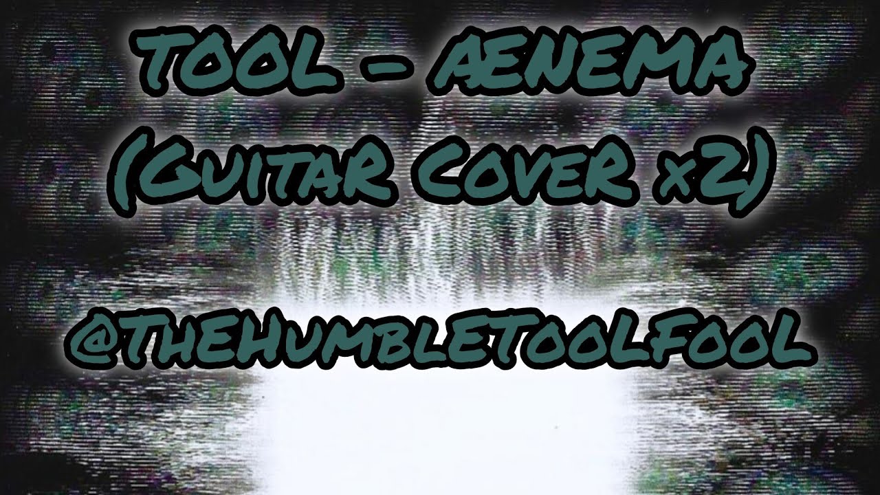 Tool - Ænema (Guitar Cover ×2)