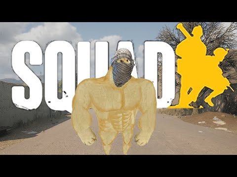 Видео: ПУСТЫННЫЕ МОТИВЫ В SQUAD