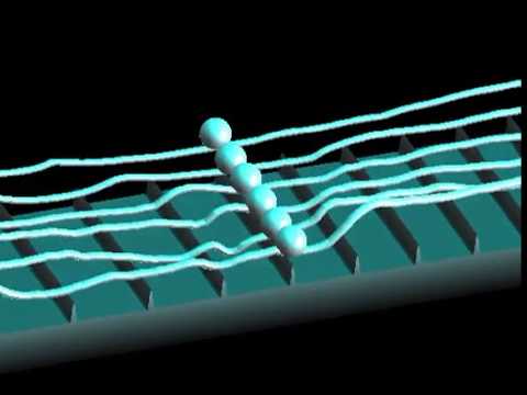 Guitar string/fretboard interactions simulated by finite differences + collision model.