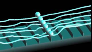 Guitar string/fretboard interactions simulated by finite differences + collision model.