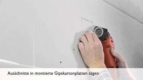 HSS Segmentsägeblatt mit Starlock