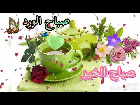 اجمل مقاطع صباحيه قصيرة صباح الورد صباح الخير