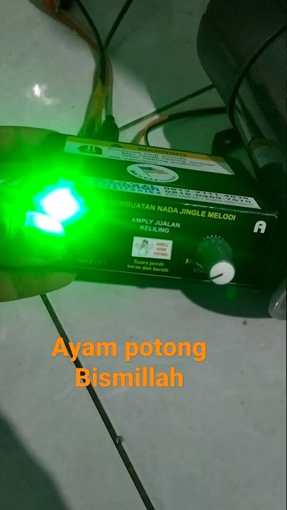 suara jualan keliling ayam potong bismillah