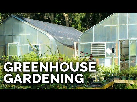 Video: Arcs for a greenhouse: varieties, assembly method