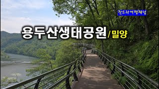 용두산 영상