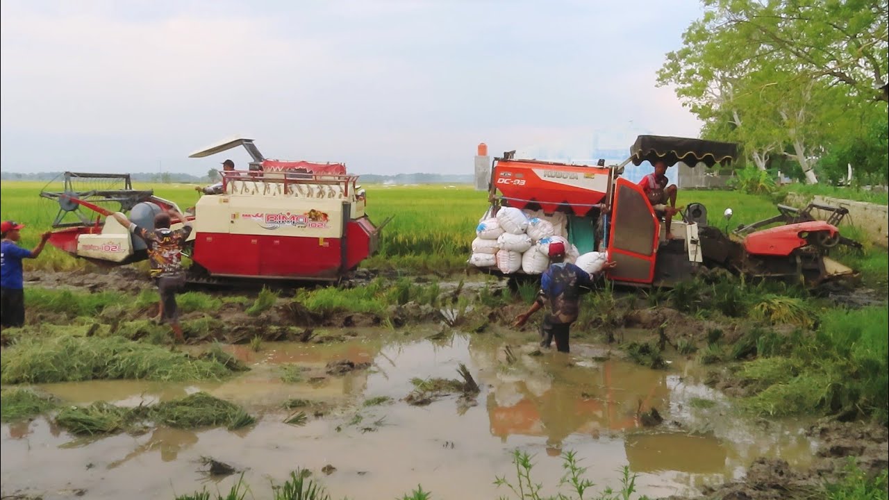 KOMBI SAWAH KUBOTA DC93 STUCK RESCUE BY MAXXI BIMO
