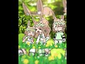 Harpy hare#gacha#edit#haryhare