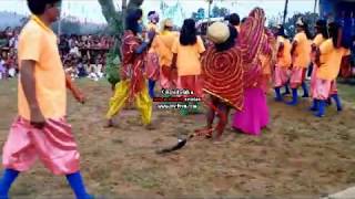 Jhumar Song ,Folk Song , Jhollywood Masti Khortha Jhumar Geet