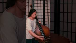 Kontrabass improvisation #kontrabass #improvisation #music #bassmodulators #bass