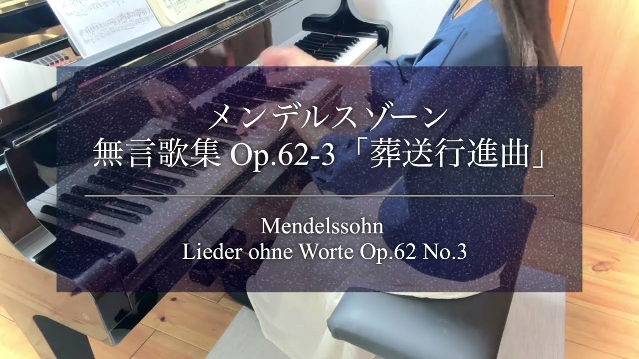 メンデルスゾーン/無言歌(全曲) EAC-77031〜3 レコード