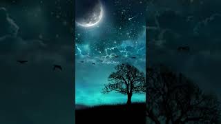 Sad Heart Touching Shayari Sad Shayari Khushi Bhi Hai Gam Bhi Hai Shayar Land