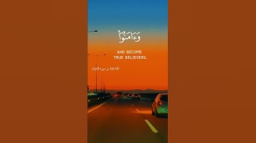 راحة نفسية 🧡⚘حالات واتس اب قرآن كريم تلاوة بصوت جميل/صلاح أبو خاطر Quran status ♥