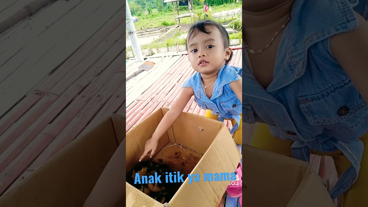 Anak itik ya mama