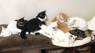 みんなで過ごす最後の日