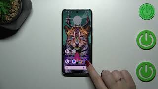 How to Check for Software Updates in GOOGLE Pixel 8