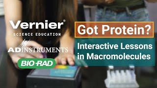 Got Protein Interactive and Engaging Lessons in Macromolecules for College Biology Students
