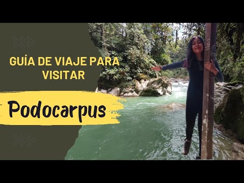 Guía Parque Nacional Podocarpus