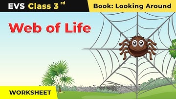 Web of Life - Worksheet Class 3 EVS Chapter 24 | CBSE 2024