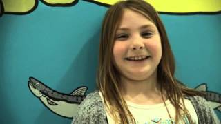 Sumner School District Whole Child