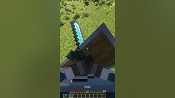 First Person Model Mod Minecraft Java #minecraft #minecraftmods