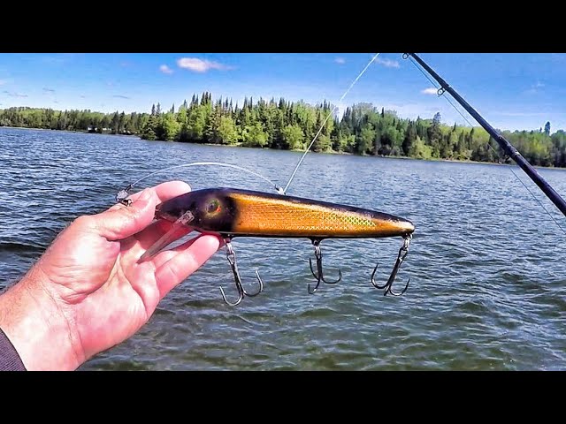 MUSKY FISHING FOR WALLEYES?! - Big 'eyes on Muskie Lures 