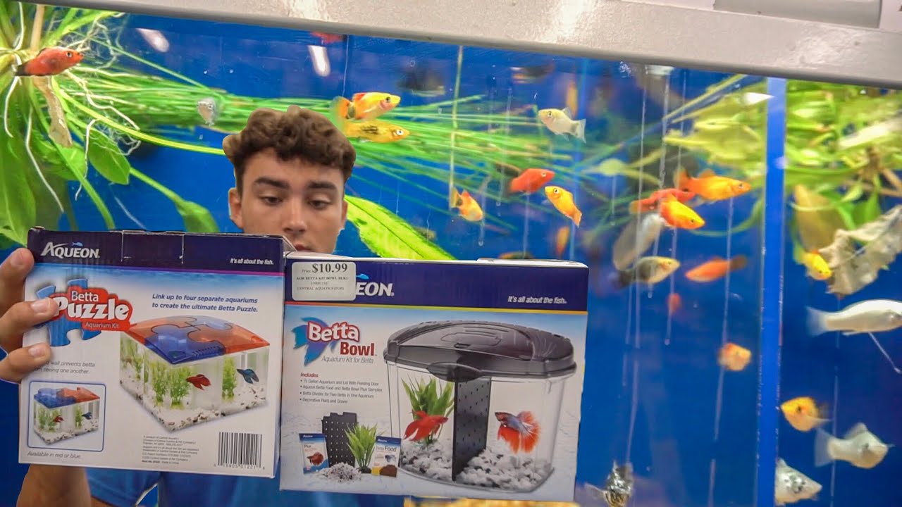 Bettas and Other Small Fish 4"x4"x6" Mini Aquarium Tank Great for Goldfish 